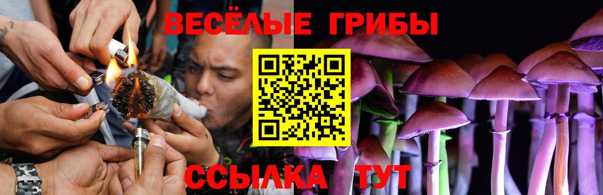 Псилоцибиновые грибы ЛСД  Псилоцибиновые грибы Magic Shrooms  Домодедово  Вход с VPN 