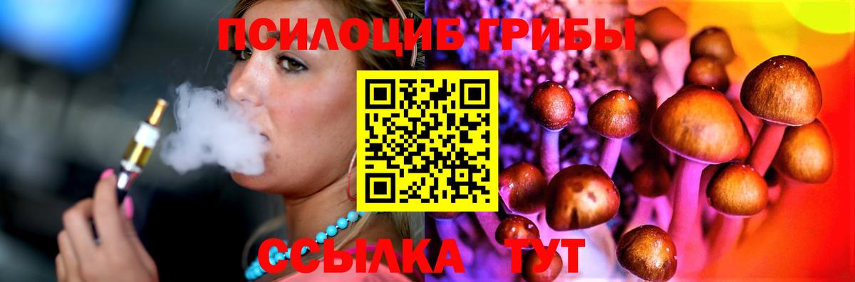 Псилоцибиновые грибы Psilocybine cubensis Домодедово